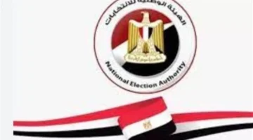 طريقة سهلة للدخول إلى الموقع الرسمي للهيئة الوطنية للانتخابات